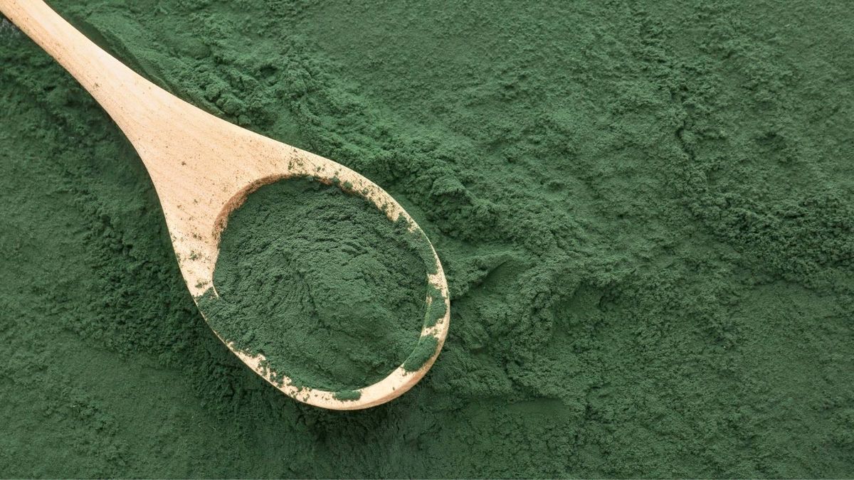 Qu'est-ce que la spiruline ? Ni algue, ni plante : une bactérie qui existait avant les arbres