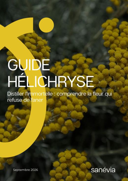 Couverture du guide Hélichryse