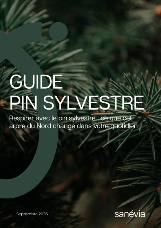 Couverture du guide Pin sylvestre