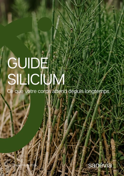 Couverture du guide Silicium