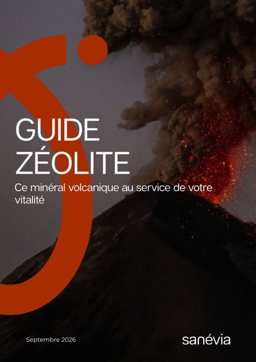 Couverture du guide Zéolite